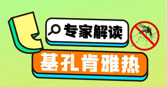 什么是基孔肯雅热？一图带你全方位读懂