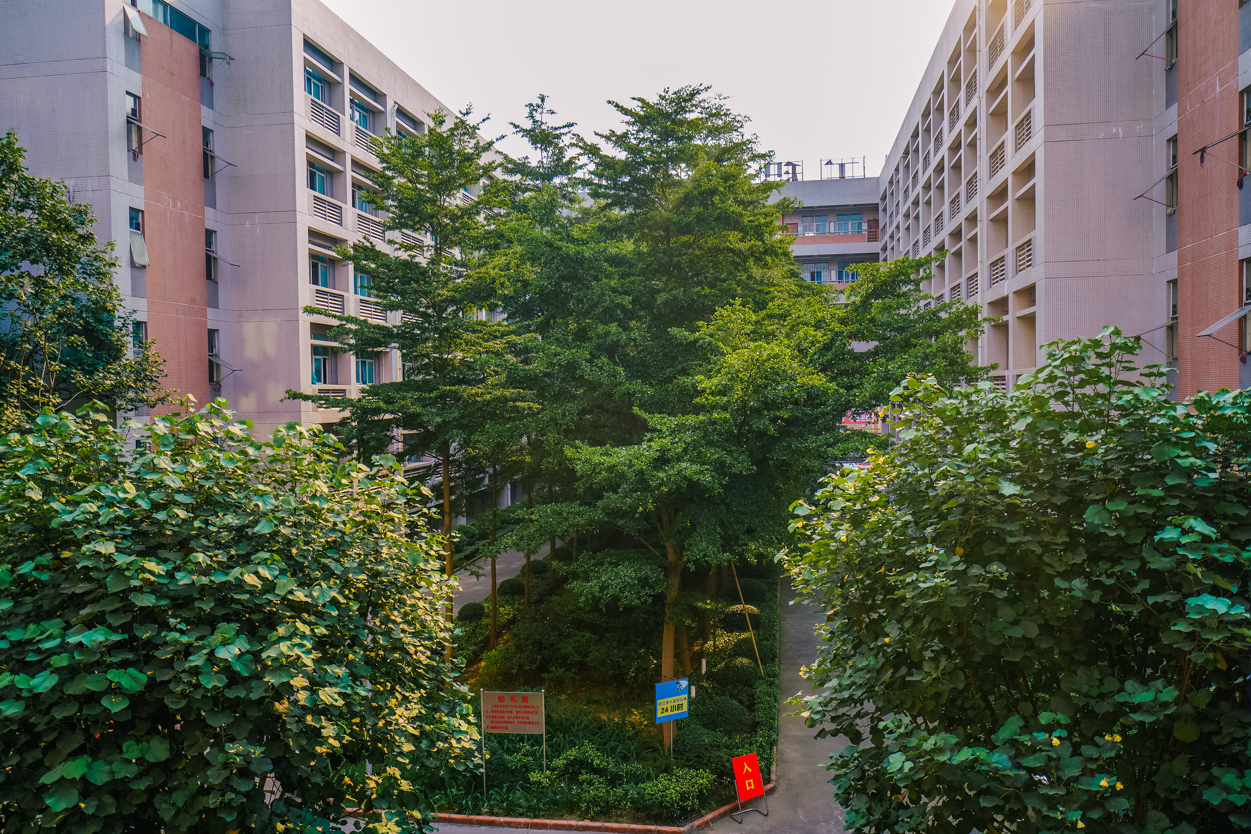 航拍全景